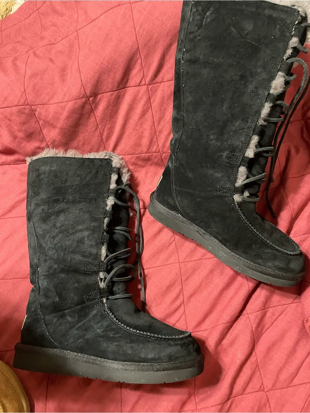 UGG Black Suede Tall Lace-Up Winter Boots with Gray Shearling